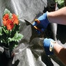 Pro-Trade 2.5 oz. Non-Woven Spunbond Weed Barrier Fabric Black 4 ft. x 300 ft.