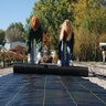 Pro-Trade 3.2 oz. Woven Ground Cover Fabric 3 ft. x 300 ft.