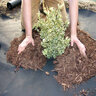 Pro-Trade 3 oz. Non-Woven Pointbond Weed Barrier Fabric 6 ft. x 300 ft.