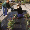 Pro-Trade 3.2 oz. Woven Ground Cover Fabric 3 ft. x 100 ft.
