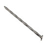 Pro-Trade Spiral Nail/Spike 10 in. (200 per 50 lb. Box)