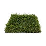 Pro-Trade Apple Light Synthetic Turf 50 oz. Face Weight/71 oz. Total Weight 1.25 in. Apple Green Blades - Green/Brown Thatching