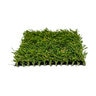 Pro-Trade Pet Supreme Synthetic Turf 50 oz. Face Weight/74 oz. Total Weight 1.25 in. Olive/Spring Green Blades - Green/Brown Thatching