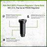 Rain Bird 1803 Spray Body NSI 3 in. Pop Up w/ PRS30 Pressure Regulator