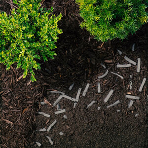 Rain Bird Root Booster Strips BIO5, 5 gal. 