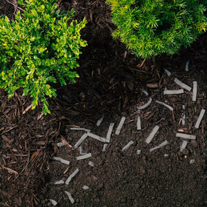 Rain Bird Root Booster Strips BIO1, 5 gal. 