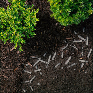 Rain Bird Root Booster Strips PRO, 5 gal. 