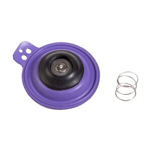 Rb Diaphragm For 1" Brass Valve