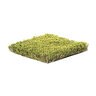 Rymar TriBlend Synthetic Turf 70 oz. Face Weight 1.8 in. Emerald Green/Olive Green/Sand Blades Tan/Green Thatching