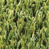Rymar Durapet / Fringe Synthetic Turf 60 oz. Face Weight 1 in. Field Green/Lime Green Blades Golden Thatching