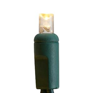Seasonal Source 5 mm LED 70L Warm White CSA 4 in. Spacing TXFW 18 AWG