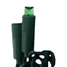 Seasonal Source DuraBright CSA Strand 5 mm 50 Light 6 in. Spacing Green
