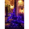 Seasonal Source 5MM LED 70L Multi CSA 4 in. spacing TXFW 18# Gauge