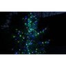 Seasonal Source DuraBright CSA Strand 5 mm 50 Light 6 in. Spacing Green
