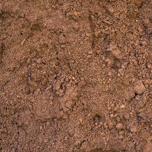 Sandy Turf Soil Blend BigBag
