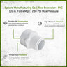Rise Extension PVC 1/2 in. Fipt x Mipt