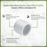 Cap PVC 2-1/2 in. Socket