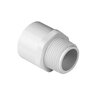 6 Male Adapter Mipt X Socket PVC Fitting