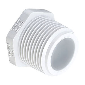 Plug PVC 2 in. Mipt