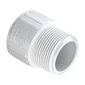 Ipt Adapter PVC 1/2 in. x 3/4 in. Mipt x Fipt