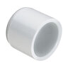 Cap PVC 3 in. Socket