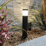 Striker Path Light Black G4 Bi-Pin, No Lamp
