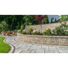 Unilock Pisa Wall Coping Granite 12 in. x 24 in. (32 pc., 64 ln. ft./pallet)