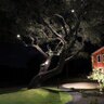 WAC Lighting Large Landscape SpotLight 12V Black 4000K Aluminum