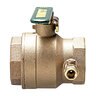 Watts 2 in. BRASS BALL VALVE w/ TEST COCK