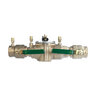 Watts 007M1 Double Check Assembly w/ Ball Valves 2 in. Bronze w/ Freeze Sensing Capability (Requires Connection Kit)