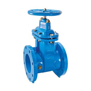 Watts 4 in. 405-Nrs-Rw Flg. Gate Vlv.