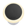 in-lite Puck 22 Integrated Ground Fixture Dark
