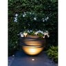 in-lite Luna Black Ring 2 3/8 in. Recessed Light 12V