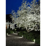 In-Lite Big Scope 7W LED 3100K