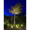 In-Lite Big Flux 12V