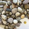 Bulk Alberta Rainbow Washed 40 mm (per cu. yd.)