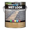 Alliance Gator Seal Wet Look Sealer 1 gal. (4 pc./box)