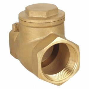 2 in. BRASS SPRING CHECK VALVE