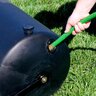 Push Lawn Roller Poly 18 in. x 24 in.