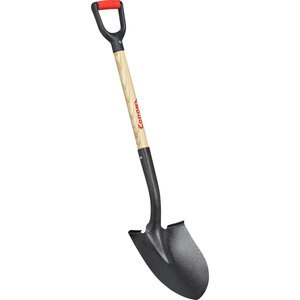 Corona 30 INCH ASHWOOD HANDLE D GRIP CORONA