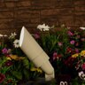 FX Macchiaultimo Up Light Flat Black No Lamp