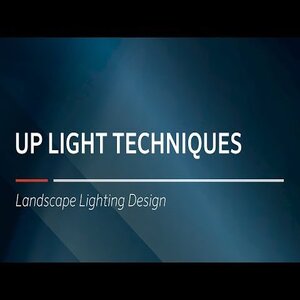 FX Po1Led Spot Wall Light Antique Bronze FX