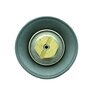 Griswold S 1-1/2Diaph Assy