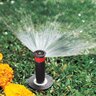 Hunter 10 ft. Quarter Nozzle Hunter