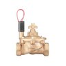 Hunter RCV Valve Brass 1-1/2 in. w/ Filter Sentry