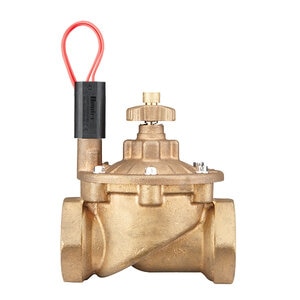 Hunter RCV Valve Brass 2 in. w/ Filter Sentry