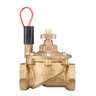 Hunter RCV Valve Brass 2 in. w/ Filter Sentry