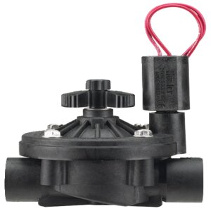 Hunter Globe Valve 1 in. w/ Flow Control and Filter Sentry