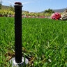 Hunter Pro-Spray 4 in. Pop Up with PRS40 Pressure Regulator