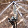 Hunter MP Stake Kit w/ 26 in. Stake, 0.345 in. Tubing to 1/2 in. male fitting, PROS00 Shrub Adapter 